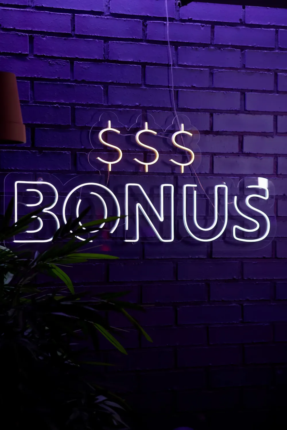 Bonus